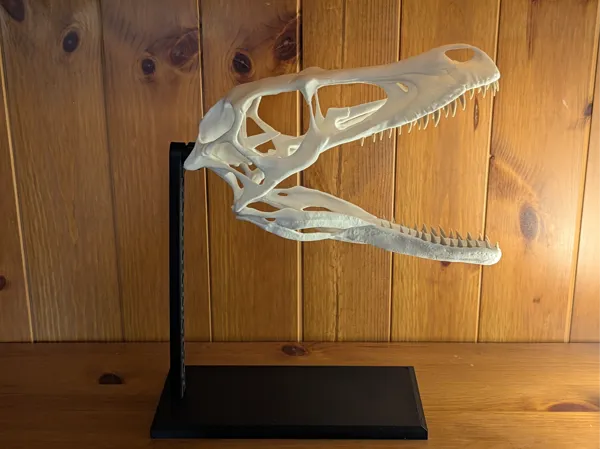 https://makerworld.bblmw.com/makerworld/model/USb3722dc225a33/design/2025-02-03_3a8c1ecfc6909.jpg