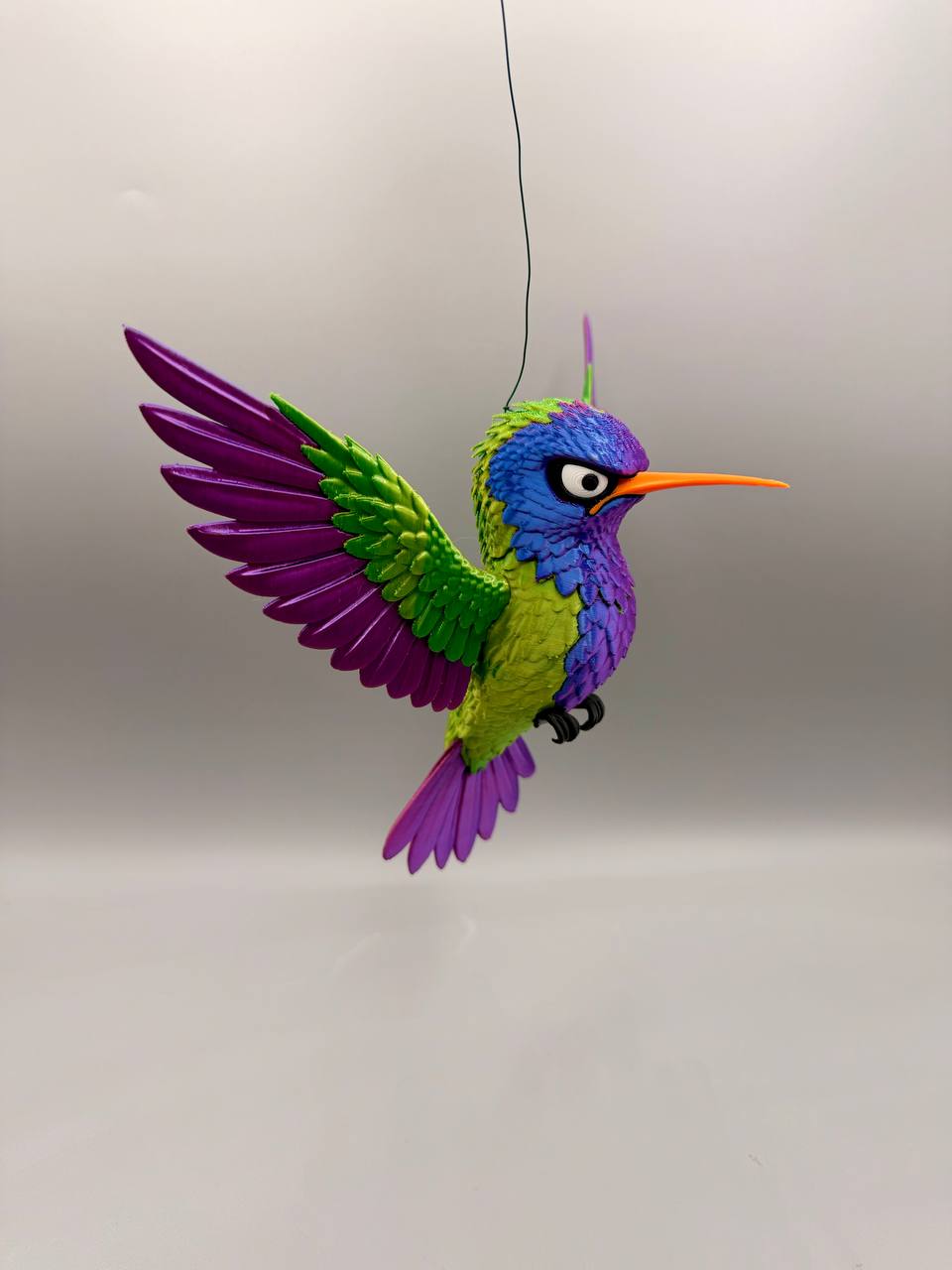 Grumpy Hummingbird - 1