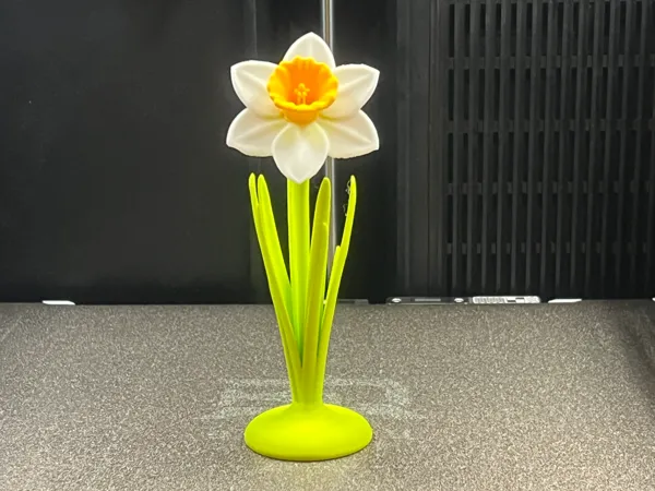 https://makerworld.bblmw.com/makerworld/model/USb37a53a5d5648c/design/96f537fa65ba5bc1.jpeg