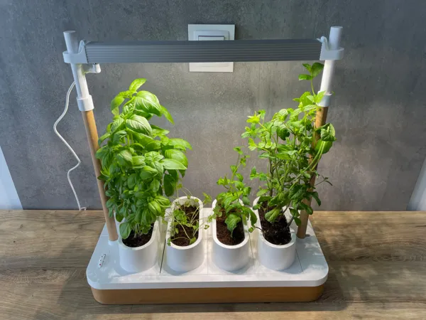 https://makerworld.bblmw.com/makerworld/model/USb37c067fa32d32/design/2025-06-06_59e525c86df69.jpeg