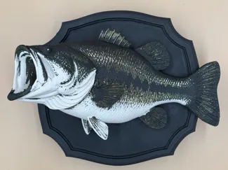 Large Mouth Trophy Bass