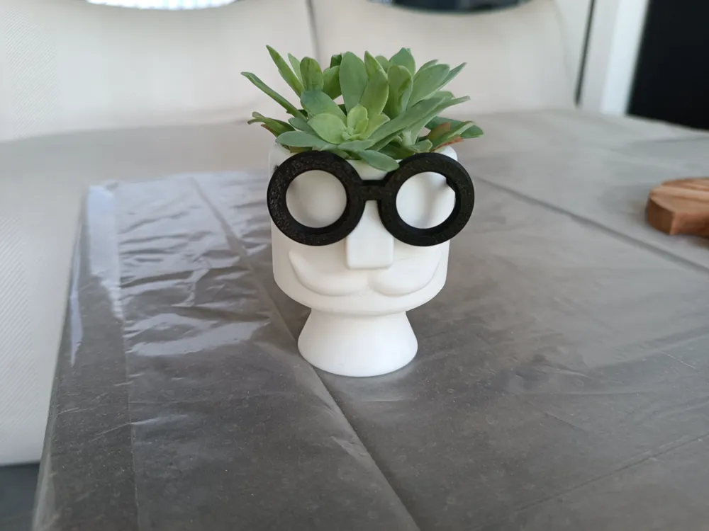 Hipster Vase Flower by Valeria Momo MakerWorld