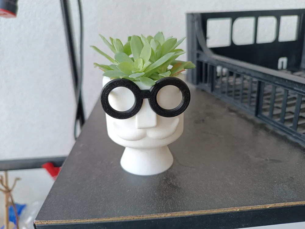 Hipster Vase Flower by Valeria Momo & Mattia MakerWorld