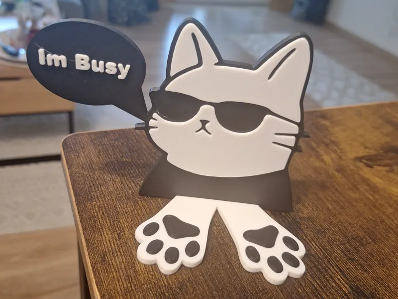 Cool Cat / Coole Katze