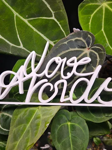 Letrero o emblema decorativo: 3D-Aufsteller „Love Aroids“ — vista de referencia 2