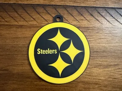 Pittsburgh Steeler Color Rush Backpack Tag
