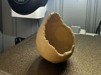 Dinosaur Egg Fossil (Hatched)