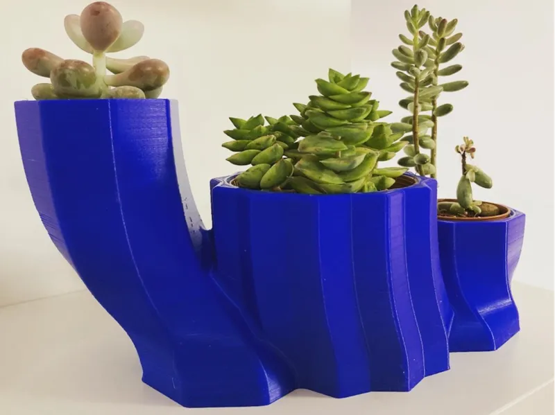 Warped Vase