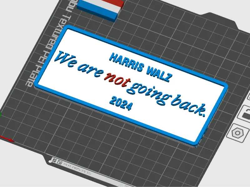 Not Going Back! Harris Walz 2024!