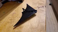 Planeur aile volante — photo 1
