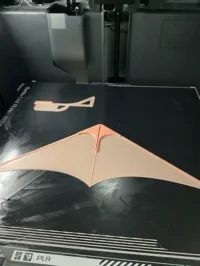 Planeur aile volante — photo 2