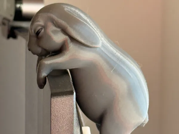 https://makerworld.bblmw.com/makerworld/model/USb3a0cd229d90e0/design/2025-12-25_88cb148007c62.jpeg