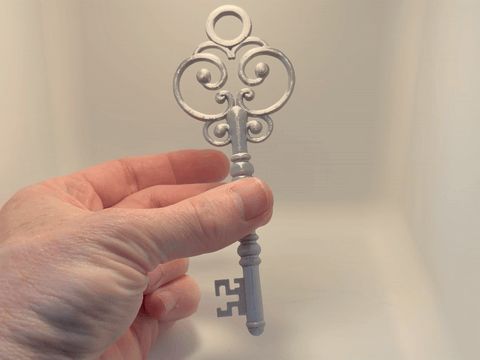 https://makerworld.bblmw.com/makerworld/model/USb3a4f16c1ce9d7/design/0fe90275faf145fd.gif