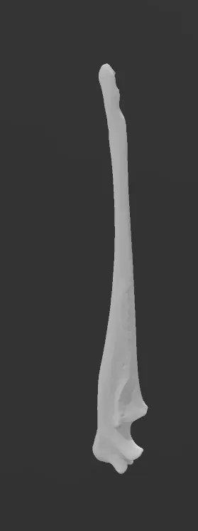 https://makerworld.bblmw.com/makerworld/model/USb3adca5a186716/design/2024-01-29_3d4661f8463af.png
