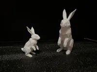 0.2mm layer, 2 walls, 5% infill