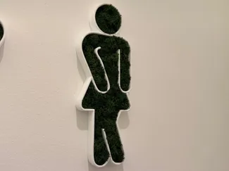 Moosbild Weiblich Gäste WC Frau