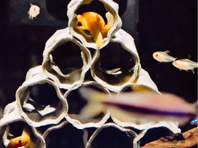 Fish and Shrimp Hiding Shelter Aquarium Breeding Pot