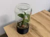 0.2mm layer, 5 walls, 30% infill