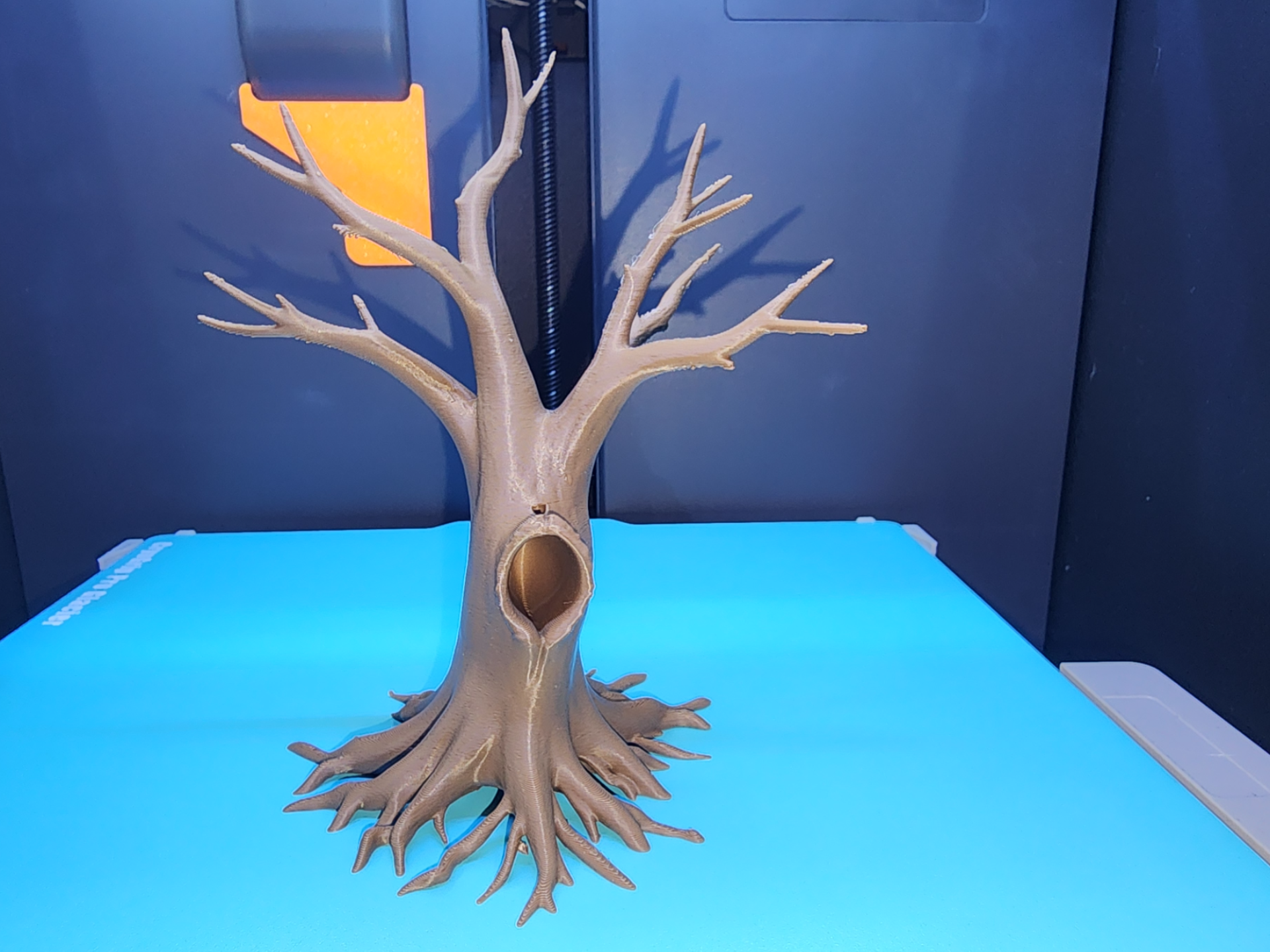 Old Tree #1