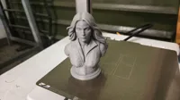0.1mm layer, 2 walls, 15% infill