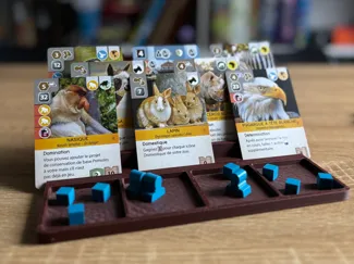 Plateau joueur cartes et ressources