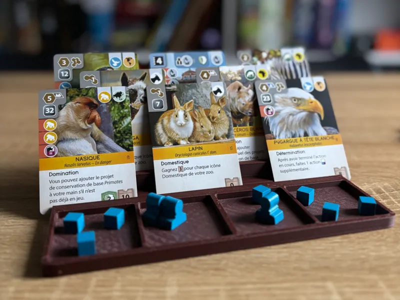 Plateau joueur cartes et ressources