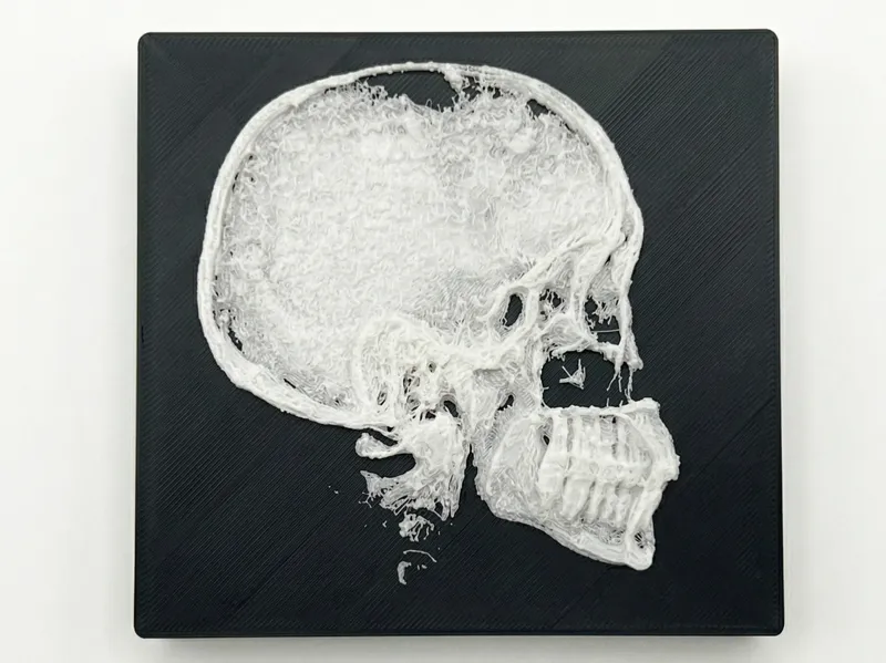Anatomia X-Ray Realistica: Profilo Cranico