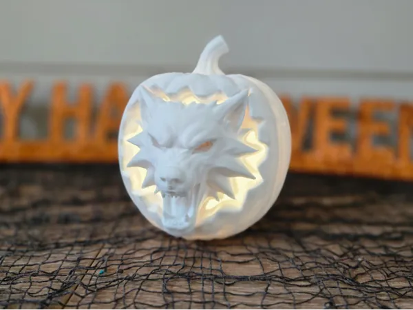 https://makerworld.bblmw.com/makerworld/model/USb3d56fd86cd4b0/design/2025-10-11_ccd6dd1330feb.jpg