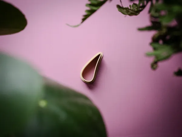 https://makerworld.bblmw.com/makerworld/model/USb3d58286948e49/design/2024-12-27_923354445dd1f8.jpg