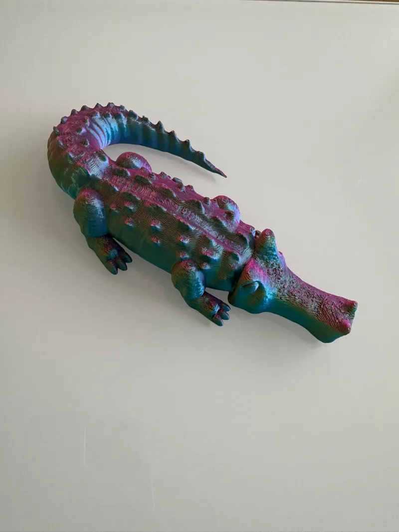 crocodile
