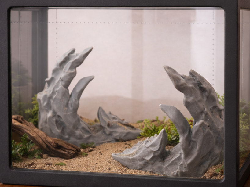 Stone Circles, Reptile Hide, Small Critter Hide