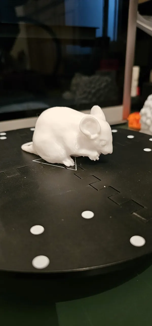 https://makerworld.bblmw.com/makerworld/model/USb3da93ee2ef933/design/2024-03-21_a73e26a6e9ae7.jpg