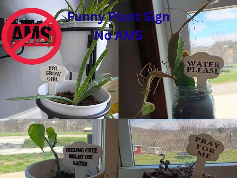 Funny Plant Signs “No AMS”