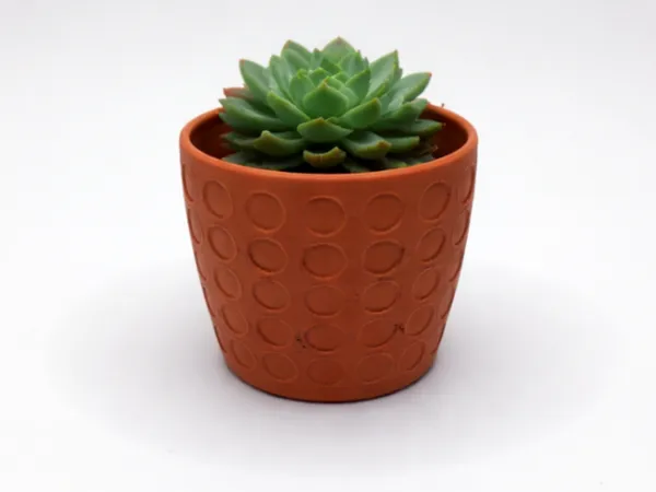 https://makerworld.bblmw.com/makerworld/model/USb3df8f88253c58/design/077a31e3f1226a61.png