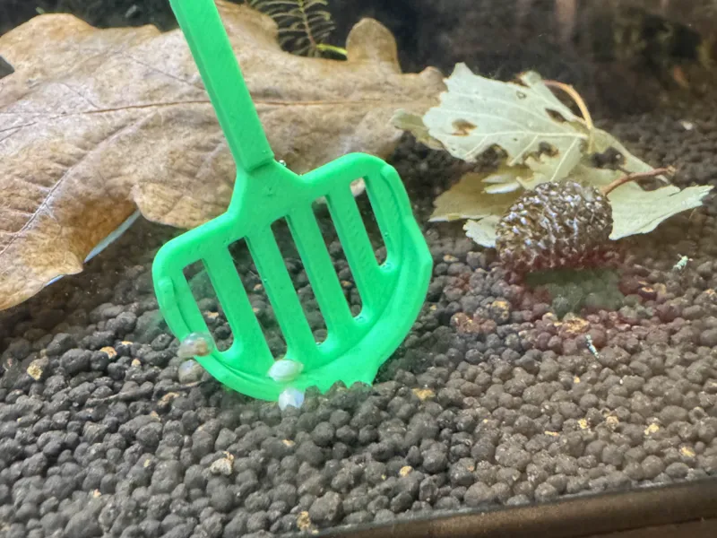 Snail_catcher / Gravel cleaner
