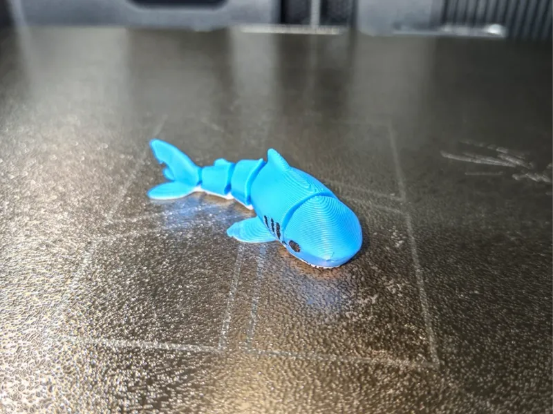 small articulated shark