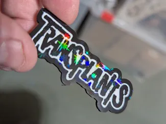 TRANSPLANTS key chain
