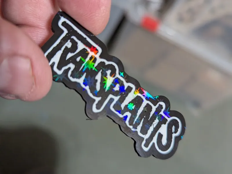 TRANSPLANTS key chain