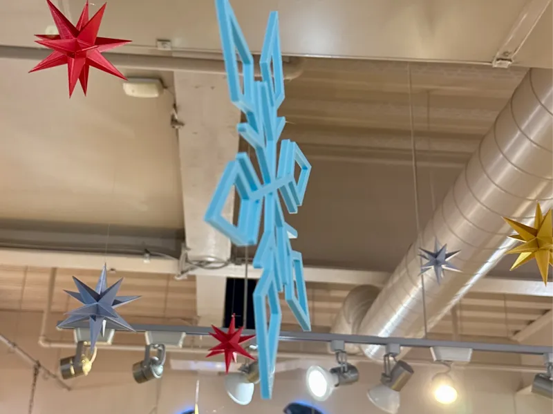 Winter Snowflake & Evergreen Decorations