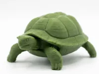 Esercito di 36 tartarughe medie