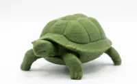 Esercito di piccole tartarughe