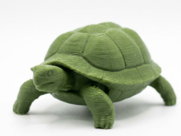 Tartaruga di Terra