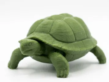 Tartaruga di Terra