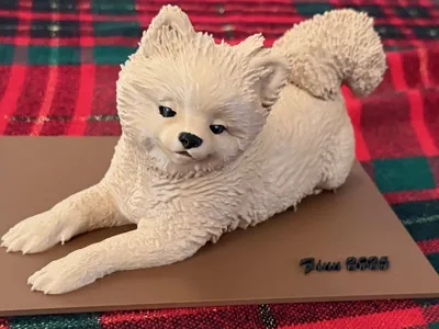 Pomeranian