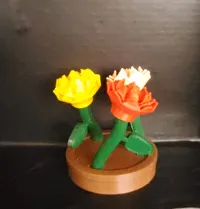 0.2mm layer, 3 walls, 5% infill