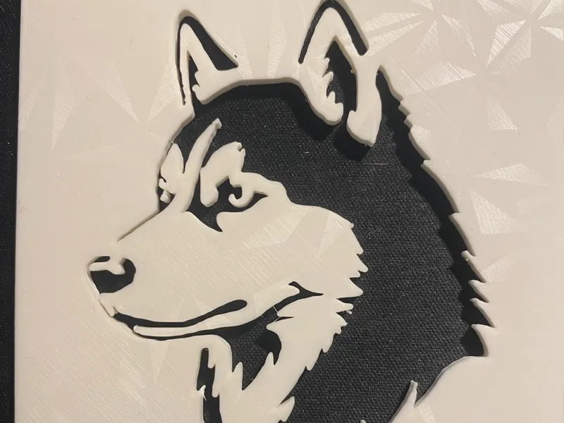 Husky coaster
