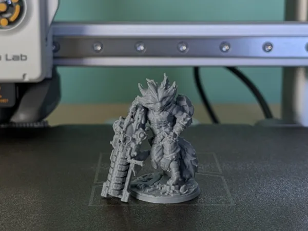 https://makerworld.bblmw.com/makerworld/model/USb3fc464691acfb/design/68d7f8cbb96e96c5.jpg
