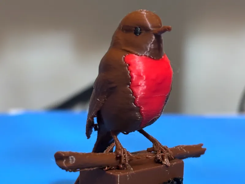 ROBIN