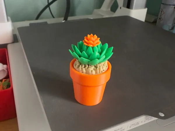https://makerworld.bblmw.com/makerworld/model/USb4012a60fe57ae/design/2025-06-08_351560d5f68c48.jpeg