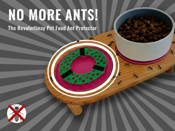 Support surélevé anti-fourmis pour gamelle